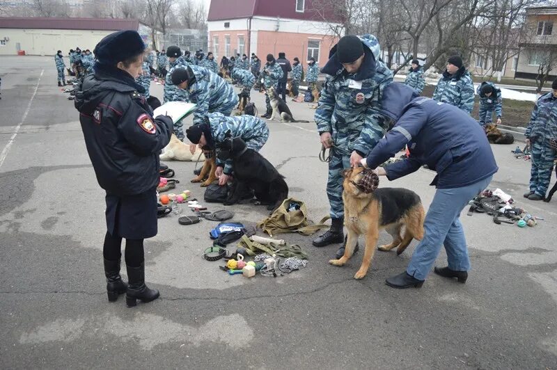 Кинолог в полиции зарплата. Кинолог в полиции зарплата