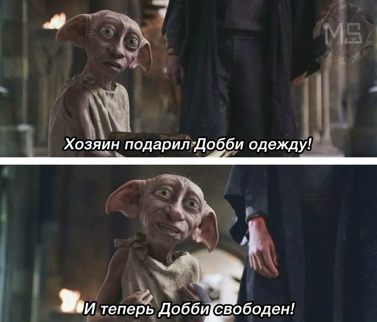 Почему не спасли добби. Доби свободный эльф добби. хозяин добби свободен. теперь добби свободен. добби с носком.