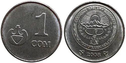 Киргизский сум. Монета 1 сом 2008 Киргизия. Монеты Киргизии 50 тыйын. 1 Тыйын. Сом монета какой страны.