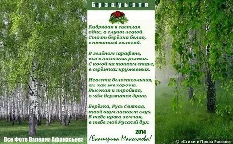 Текст матушка земля белая березонька для меня