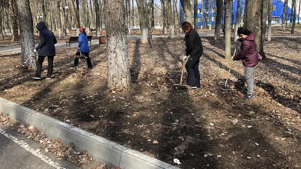 Люди выходят на субботники. Субботник в городе. Фото субботника в городе. Субботник во дворе. Республиканский субботник 2023.