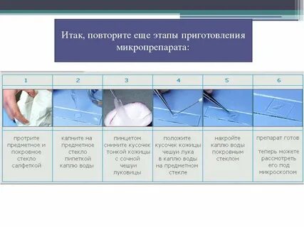 Все изображения лабораторного оборудования для приготовления микропрепарата