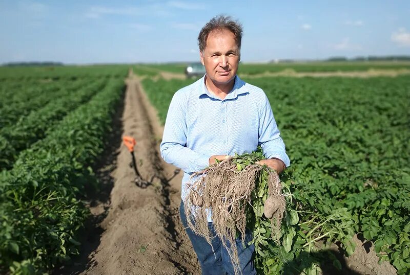 селекционная станция ргау мсха. изучение почвы. агрохимик почвовед. опыт агронома. растения выращенные агрономом.