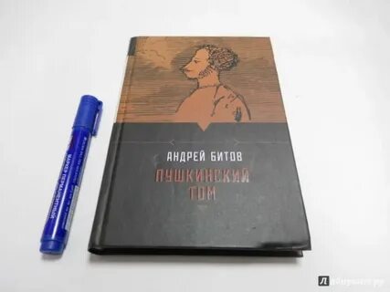 Бита книга