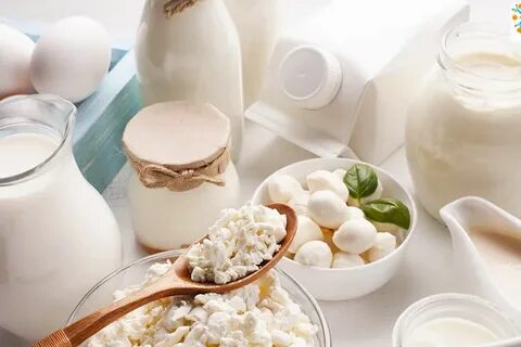 Молочные продукты в питании человека