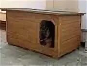 Чертеж вольера для алабая с размерами. Будка для овчарки в вольере размеры. Вольер 2х2 для собаки кавказской овчарки. Вольер с будкой. Размеры конуры для немецкой овчарки.