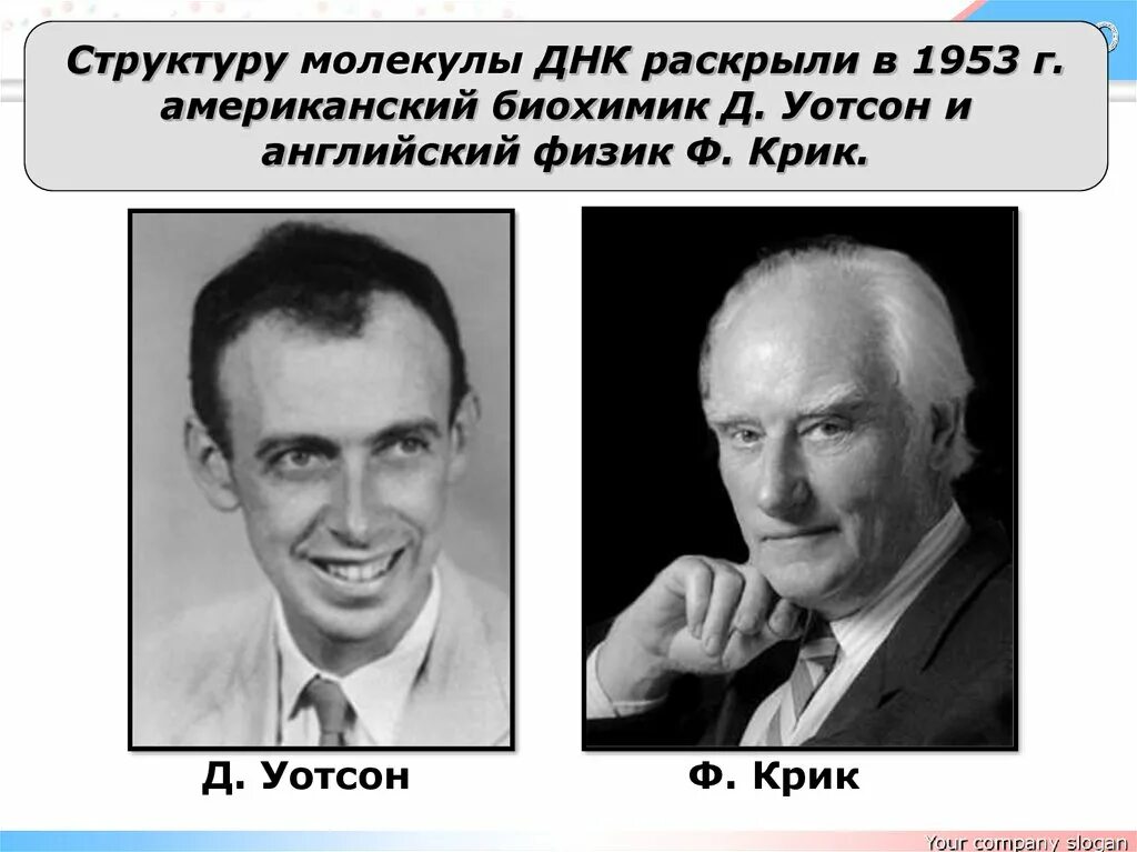 Физик ф