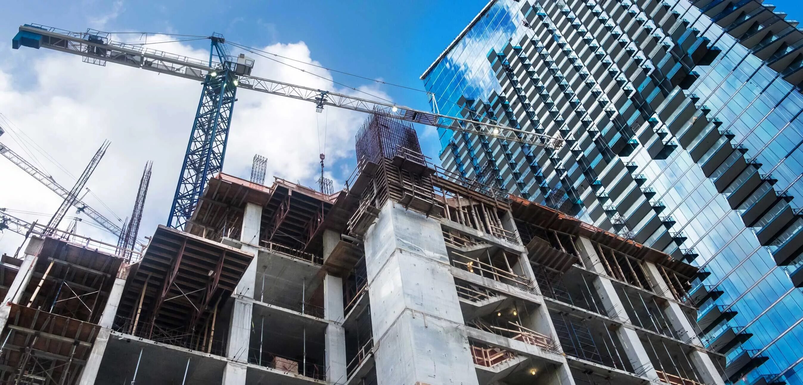 Build llc