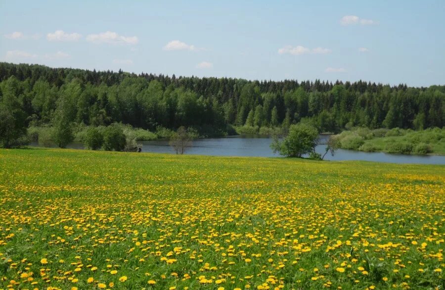 Лето в удмуртии