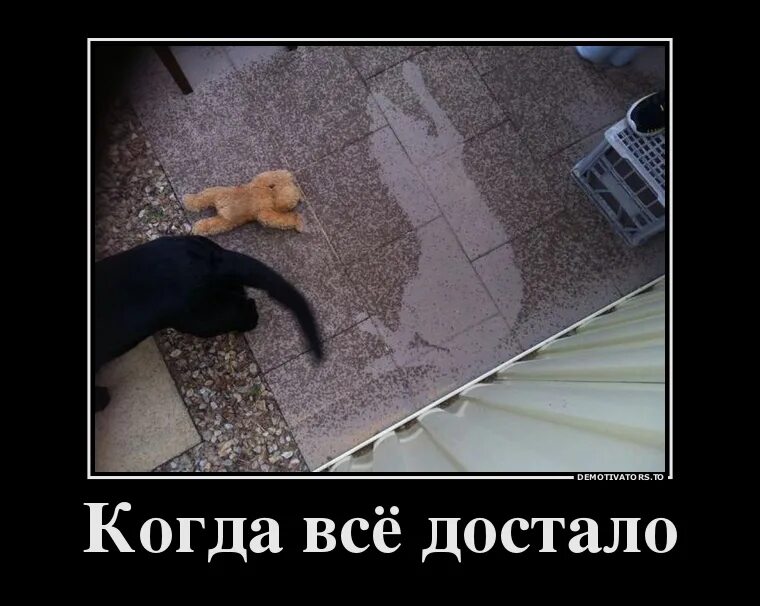 Следующую достала