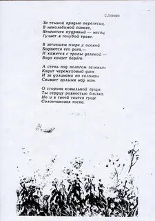 За темной прядью перелесиц