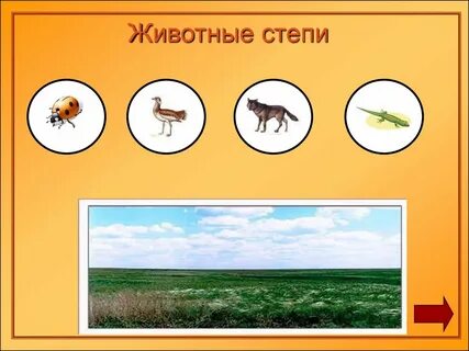 Тест зона степей