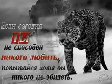 Афоризмы гифки