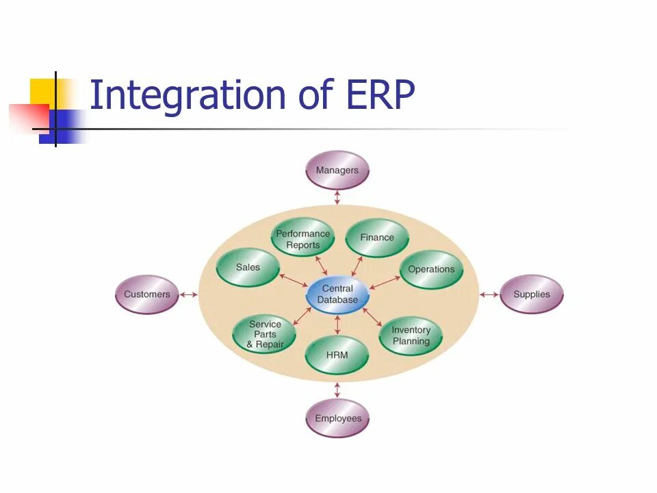 Business Driven Technology Unit 3 - ppt video online download