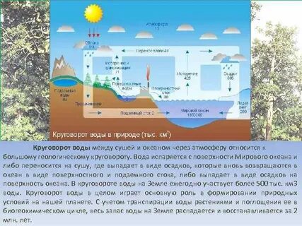 Город между вод