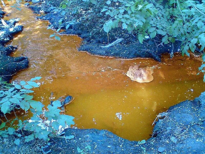 Отравленная вода. Отравленная вода фото. Вода стала жёлтой. Когда красят реки.