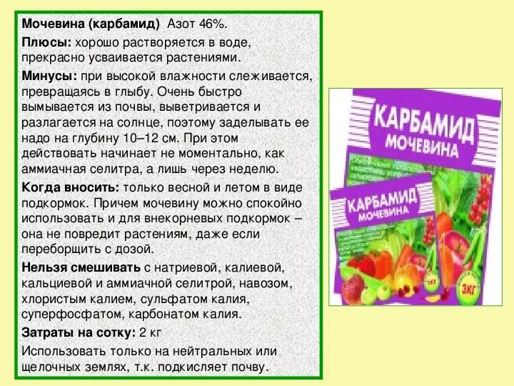 Мочевина удобрение для чего применяется. Карбамид растения. Мочевина для растений. Мочевина для растений применение. Карбамид состав удобрения.