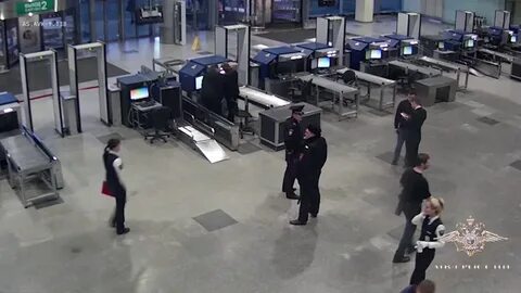 Лу в аэропорту домодедово