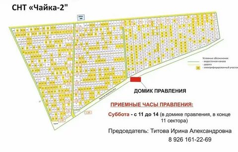 Карта чайка
