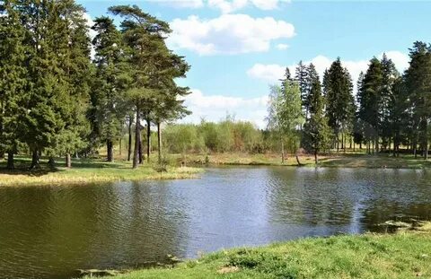 Деревня ликино
