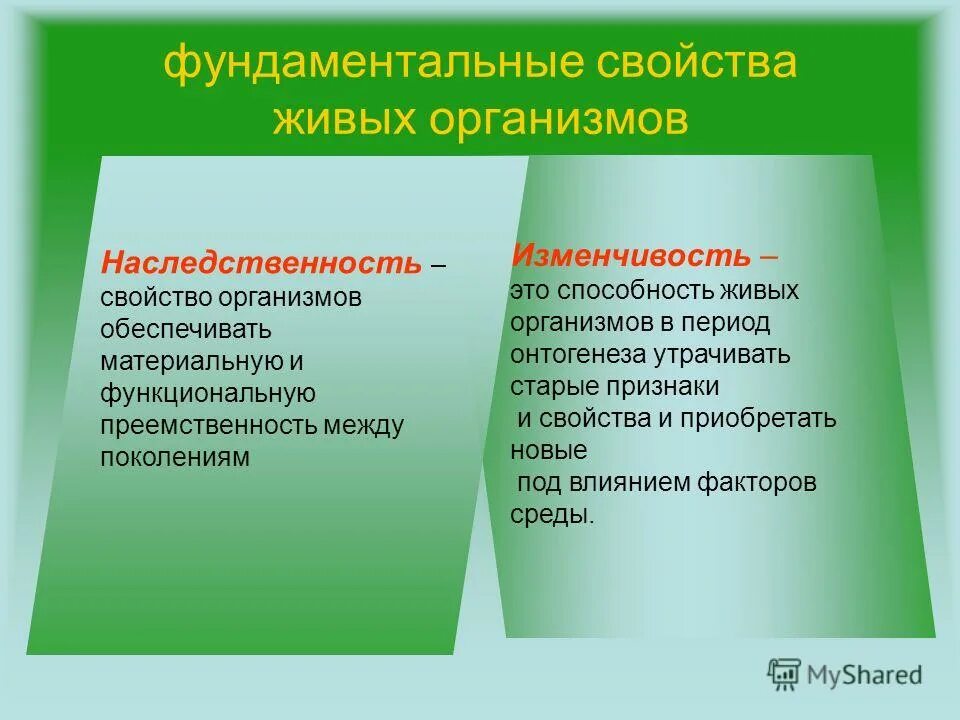 Изменение наследственных свойств. Наследственность и изменчивость фундаментальные свойства живого. Свойства живых организмов наследственность и изменчивость. Наследственность свойство живых организмов. Свойство наследственности и изменчивости.