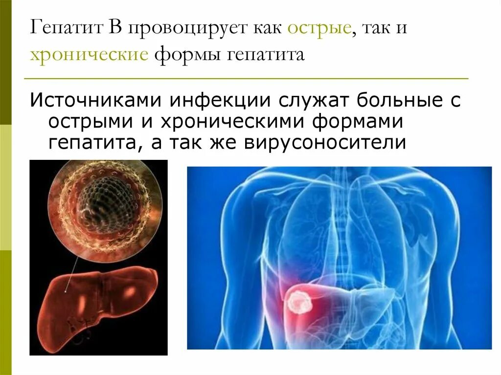 Какой гепатит инфекционный. Вирусный гепатит а источник инфекции. Источник инфекции при гепатите в. Гепатит б источник инфекции. Источник заболевания гепатита б.