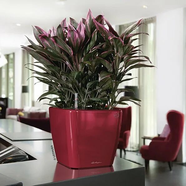 Офисные цветы в горшках фото и название RONDO 40 white high-gloss Outdoor urns, Flower pots, Pretty flowers