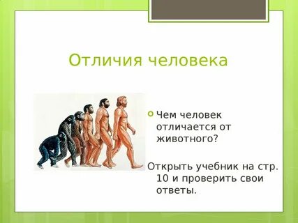 Здесь люди отличались