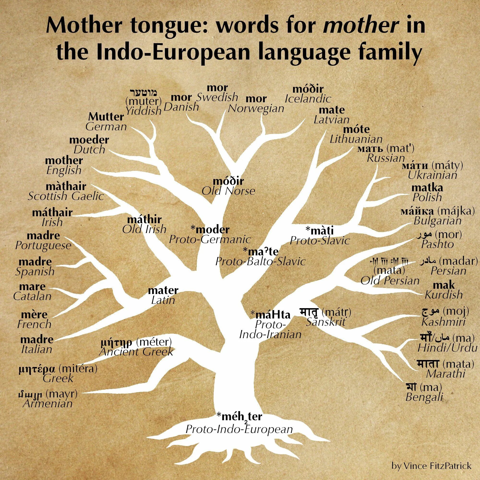 Tree words. Indo European languages Tree. Генетическая классификация языков. Дерево европейской семьи языков. Генеалогическое Древо европейских языков.