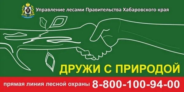 Фонд защиты лесного фонда