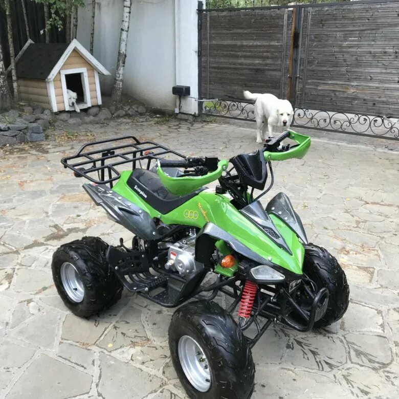 Квадроцикл абм скорпион 110. Квадроцикл абм скорпион 110. Расширитель переднего пластика для квадроцикла abm 110 scorpion. Abm scorpion 110. Scorpion 110.