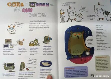 Наука не скука