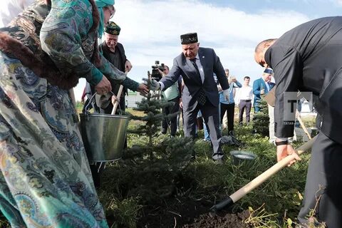 Пашат