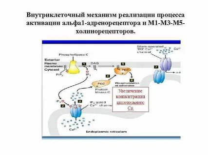 Механизм реализации процесса