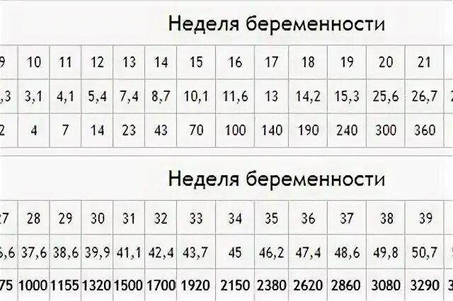Сколько это недель
