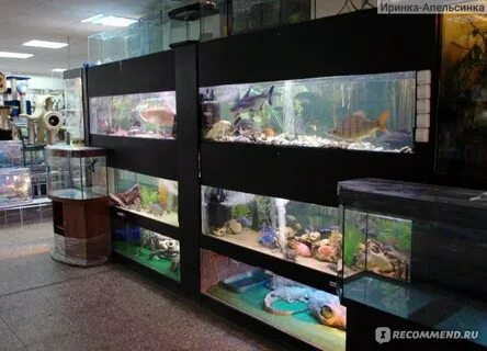 Фауна подольска