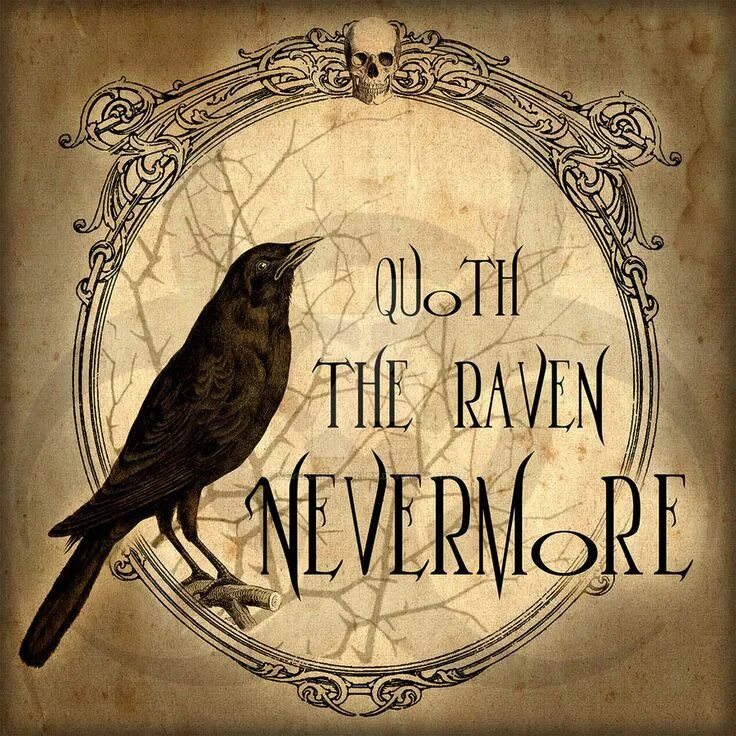 Raven poe. Raven Nevermore.