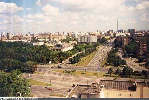 Беговой год