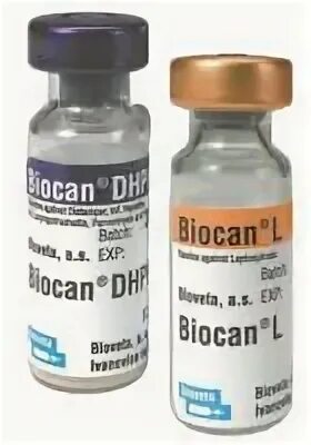 Биокан DHPPI + RL. Вакцина Биокан DHPPI+L. Биокан вакцина для собак. Биокан DHPPI+LR. Биокан l