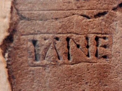 The word is jane