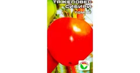 Описание сорта томатов тяжеловес сибири