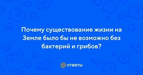 Жизнь на земле невозможно без бактерий