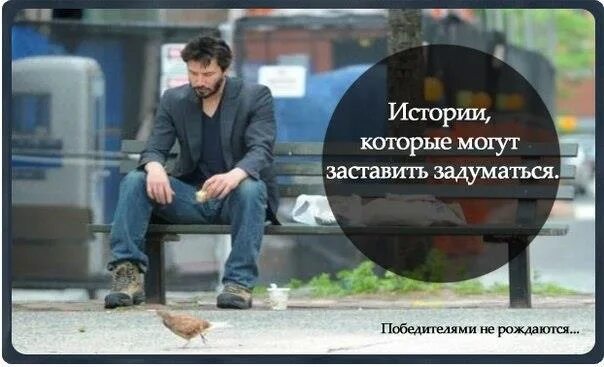 цитата которая заставляет задуматься. над чем заставляет задуматься рассказ о любви. притчи о смысле жизни короткие. высказывания психологов. эссе в научном стиле.