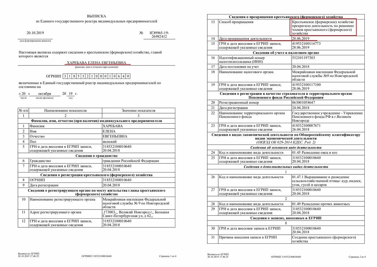 Выписка из ЕГРИП 2021. Выписка из единого государственного реестра юридических лиц 2021. Выписка из единого государственного реестра ИП (ЕГРИП). Выписка ЕГРИП для ИП образец.