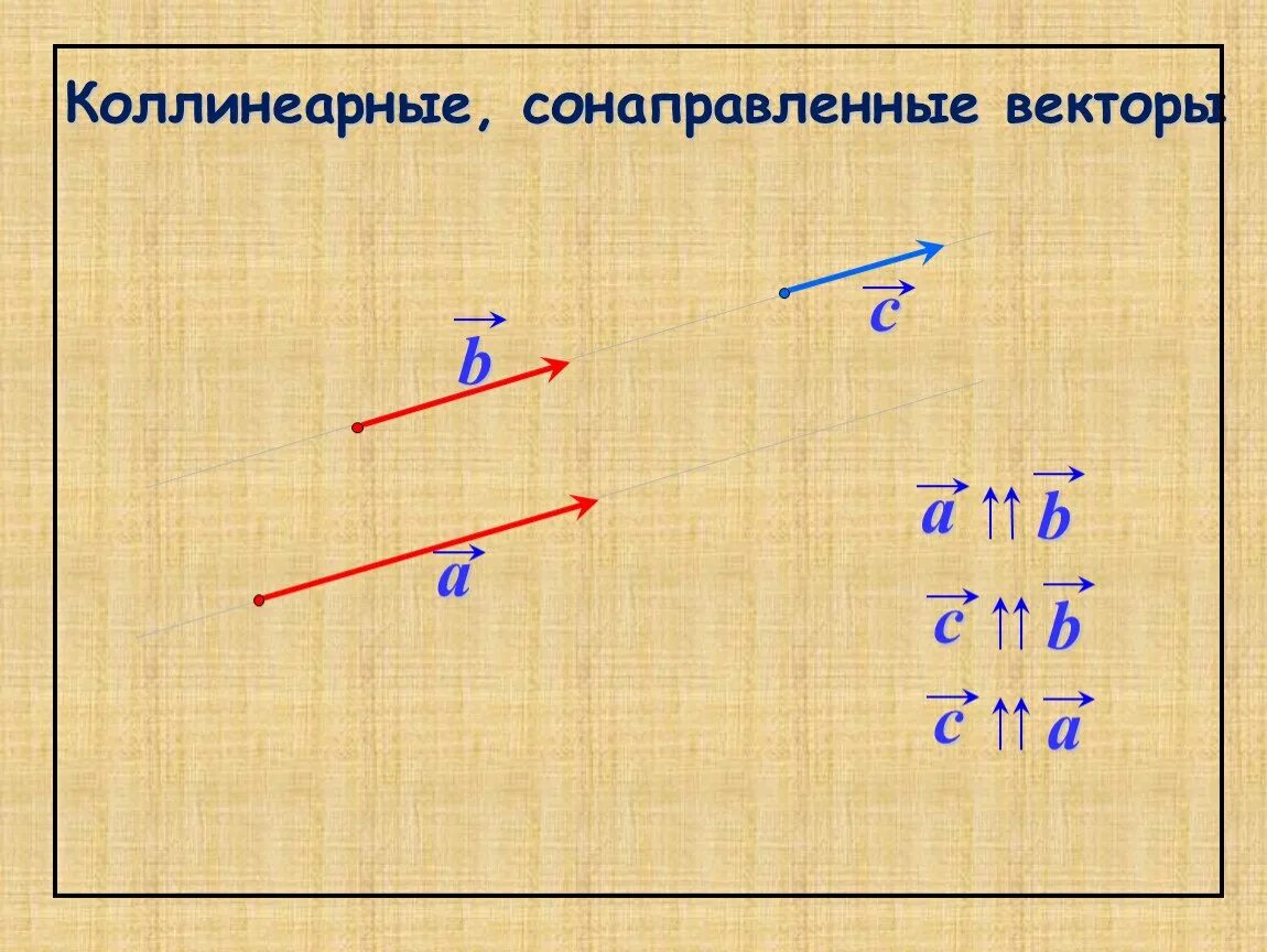 Какие изображения называют векторными. Коллинеарные векторы сонаправленные и противоположно направленные. Коллинеарные сонаправленные векторы. Коллинеарные несонаправленивые векторы. Соноправленныевекторы.