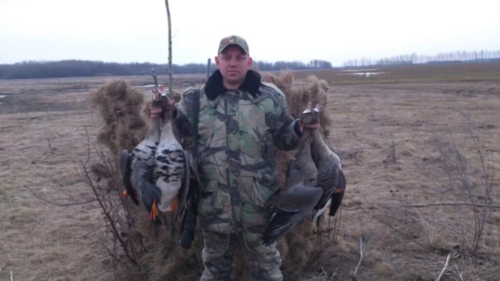 Скрадок на весенней гусиной охоте. Открытие на гуся 2024. Открытие на гуся 2024. Охота на гуся 2023 весенняя. Открытие на гуся 2024.