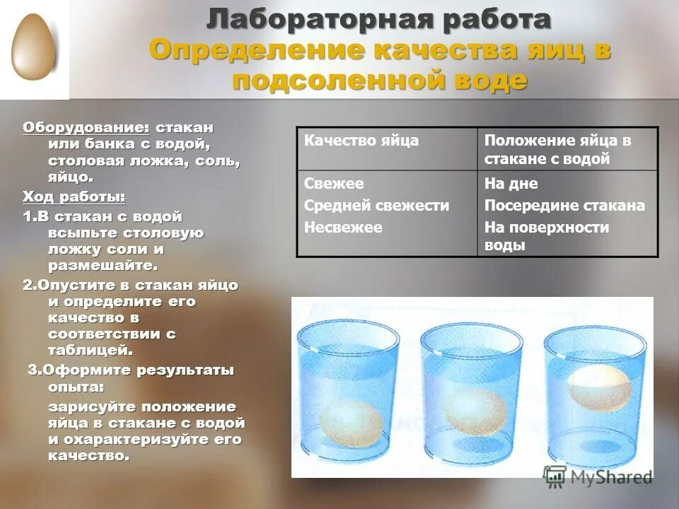 Скорость погружения стакана в воду. Опыт с водой и яйцом и солью. Определение качества яиц. Способы определения качества яиц. Опыт с яйцом и водой.