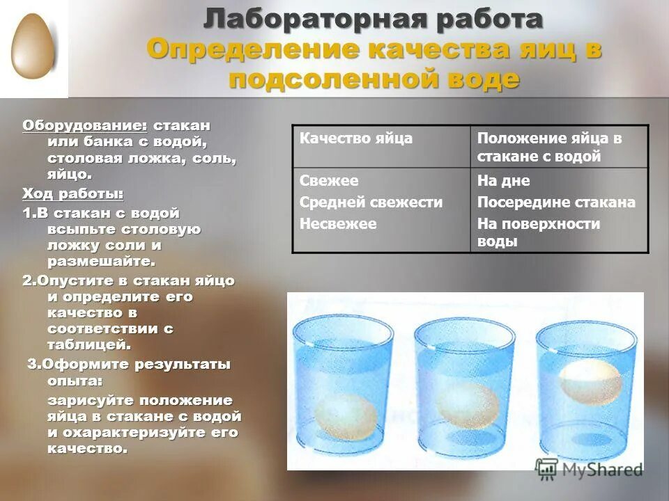 солевой раствор яйцо. солевой раствор яйцо. зависимость выталкивающей силы от плотности жидкости. солевой раствор яйцо. эксперимент с яйцом и водой.