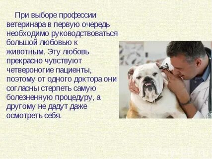 Ветеринар сочинение