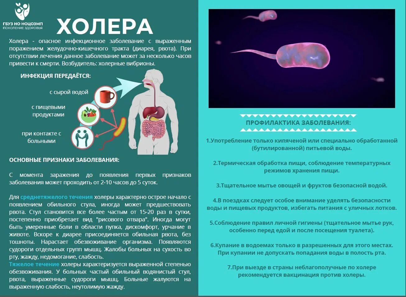 болезнь холера причины заболевания. опасные заболевания вирусов. опасные инфекции у детей. туберкулёз профилактика заболевания. сальмонеллез причины симптомы профилактика.